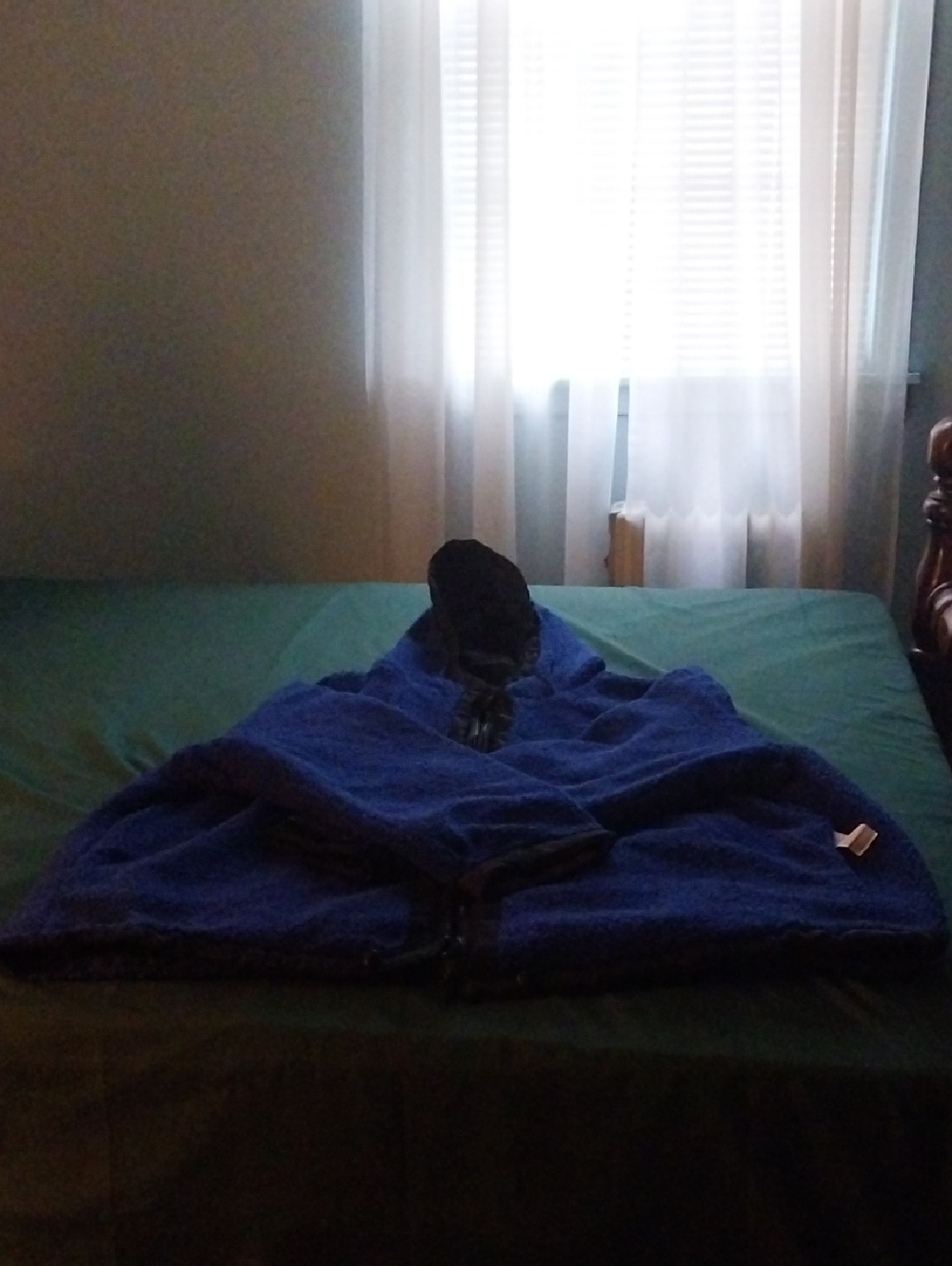 Fabletics Reversible Hooded Jacket - Cozy Fleece Coat